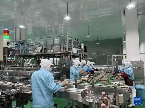 日本の食品メーカー 四川省でザーサィ生产 伝统制法守る
