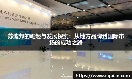 苏波邦的崛起与发展探索：从地方品牌到国际市场的成功之路